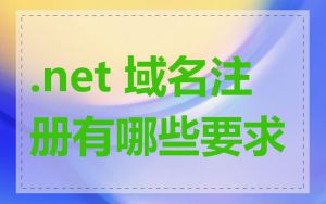 .net 域名注册有哪些要求