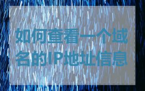 如何查看一个域名的IP地址信息