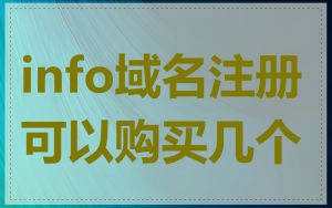 info域名注册可以购买几个