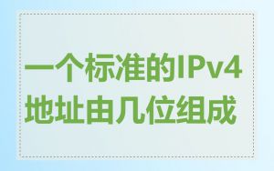 一个标准的IPv4地址由几位组成