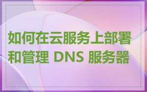 如何在云服务上部署和管理 DNS 服务器