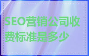 SEO营销公司收费标准是多少