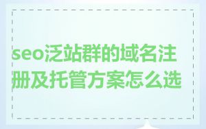seo泛站群的域名注册及托管方案怎么选
