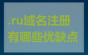 .ru域名注册有哪些优缺点