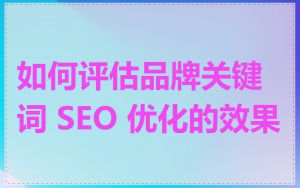 如何评估品牌关键词 SEO 优化的效果