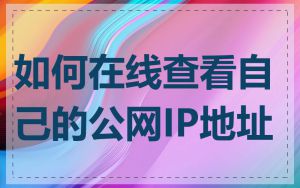 如何在线查看自己的公网IP地址