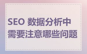 SEO 数据分析中需要注意哪些问题