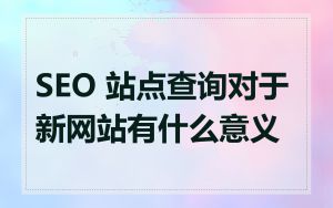 SEO 站点查询对于新网站有什么意义
