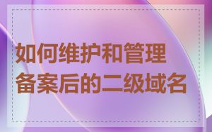 如何维护和管理备案后的二级域名