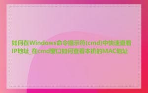 如何在Windows命令提示符(cmd)中快速查看IP地址_在cmd窗口如何查看本机的MAC地址