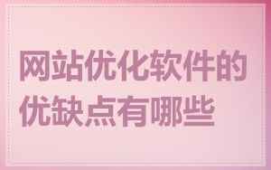 网站优化软件的优缺点有哪些