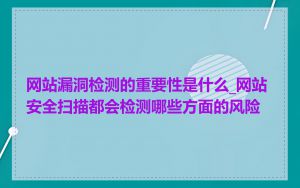 网站漏洞检测的重要性是什么_网站安全扫描都会检测哪些方面的风险