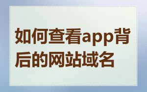 如何查看app背后的网站域名