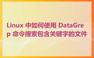 Linux 中如何使用 DataGrep 命令搜索包含关键字的文件
