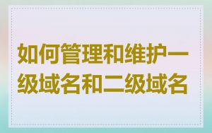 如何管理和维护一级域名和二级域名