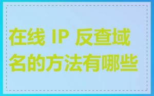 在线 IP 反查域名的方法有哪些