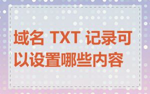 域名 TXT 记录可以设置哪些内容