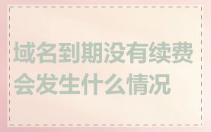 域名到期没有续费会发生什么情况