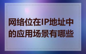 网络位在IP地址中的应用场景有哪些