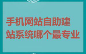 手机网站自助建站系统哪个最专业