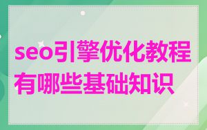 seo引擎优化教程有哪些基础知识