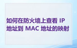 如何在防火墙上查看 IP 地址到 MAC 地址的映射