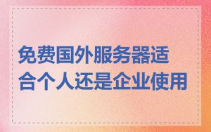免费国外服务器适合个人还是企业使用