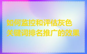 如何监控和评估灰色关键词排名推广的效果