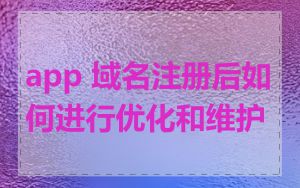 app 域名注册后如何进行优化和维护