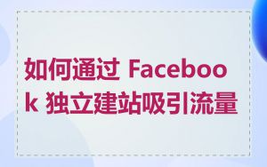 如何通过 Facebook 独立建站吸引流量