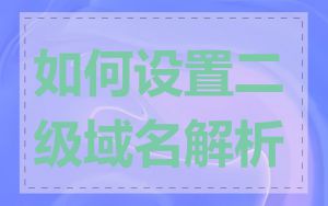 如何设置二级域名解析