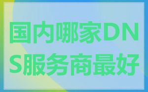 国内哪家DNS服务商最好