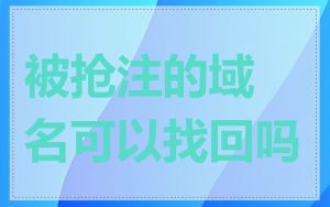 被抢注的域名可以找回吗