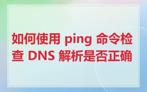如何使用 ping 命令检查 DNS 解析是否正确