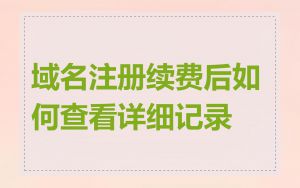 域名注册续费后如何查看详细记录