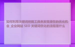 如何利用关键词挖掘工具来发现潜在的优化机会_企业网站 SEO 关键词优化的流程是什么