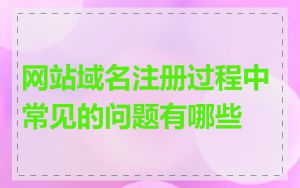 网站域名注册过程中常见的问题有哪些