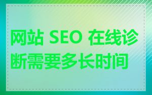 网站 SEO 在线诊断需要多长时间
