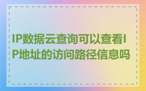 IP数据云查询可以查看IP地址的访问路径信息吗