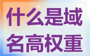 什么是域名高权重