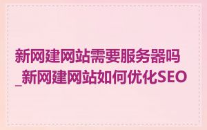 新网建网站需要服务器吗_新网建网站如何优化SEO