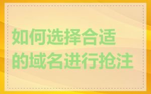 如何选择合适的域名进行抢注