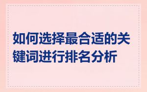 如何选择最合适的关键词进行排名分析