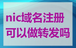 nic域名注册可以做转发吗