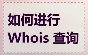 如何进行 Whois 查询