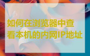 如何在浏览器中查看本机的内网IP地址