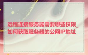 远程连接服务器需要哪些权限_如何获取服务器的公网IP地址