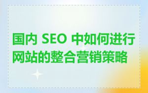 国内 SEO 中如何进行网站的整合营销策略