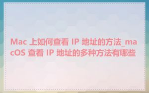 Mac 上如何查看 IP 地址的方法_macOS 查看 IP 地址的多种方法有哪些