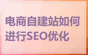 电商自建站如何进行SEO优化